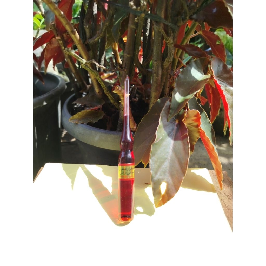 parfume jafaron wangi asli