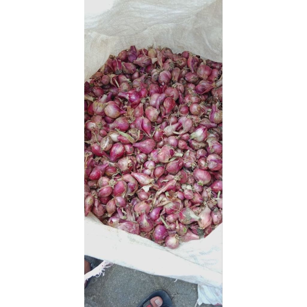 

bawang merah tanggung+besar 500gram