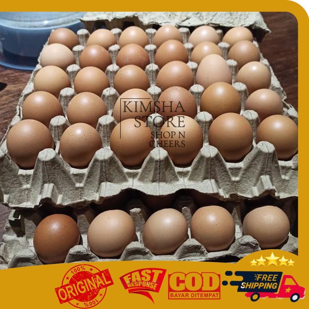 

Telur Ayam Negeri Segar 1kg Telur Kebutuhan Pelengkap Masak Makanan Bahan Pokok Food Cooking Ingredients Fresh Chicken Eggs 1 kg