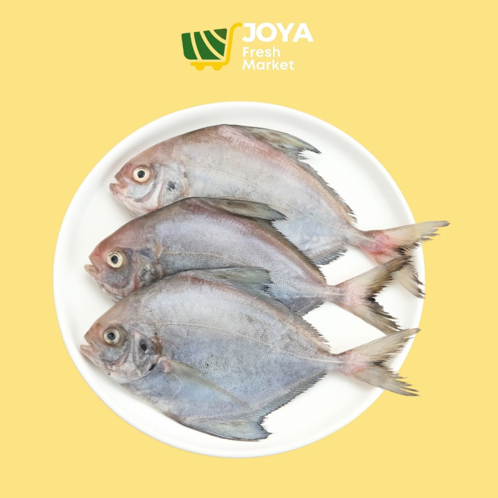 

Joya Fresh - Ikan Bawal Hitam Segar/Seafood Segar/Ikan Bawal Hitam Fresh