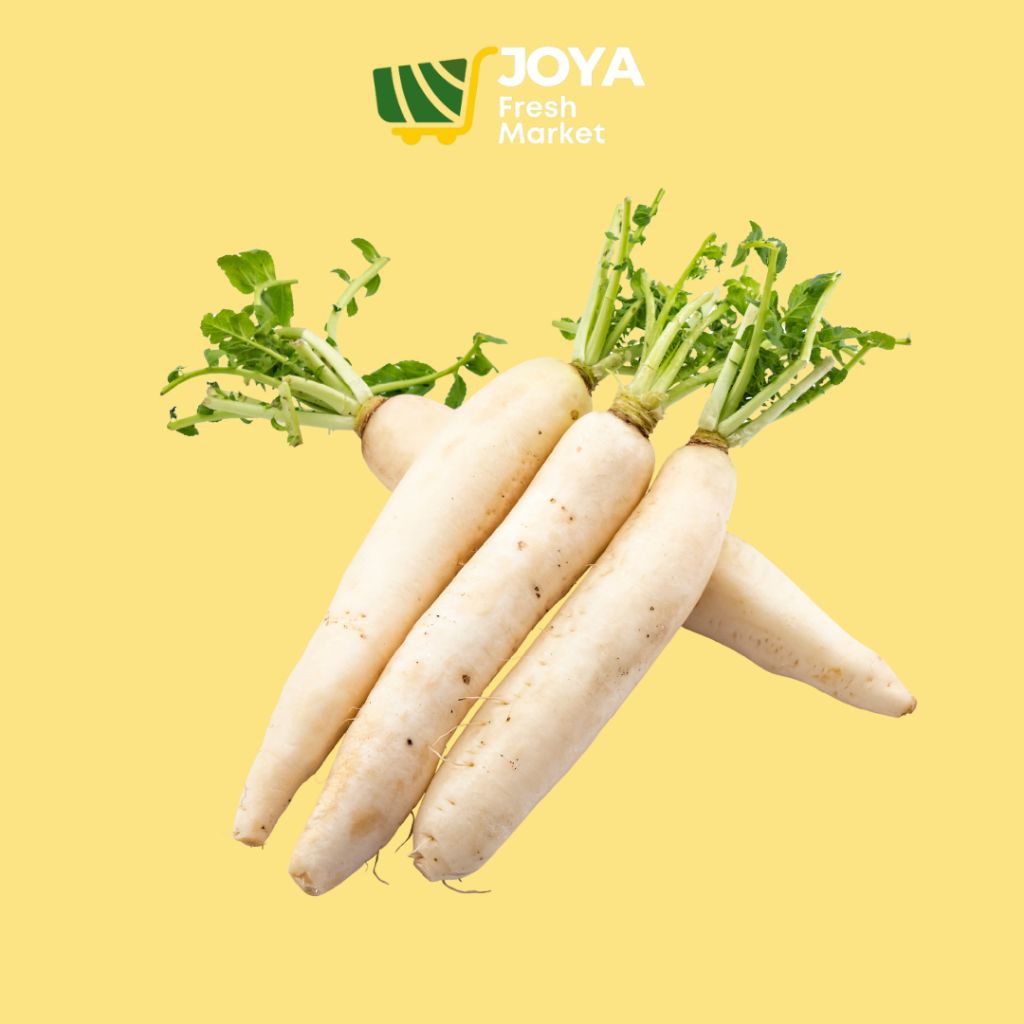 

Joya Fresh - Lobak Putih Segar/Sayuran Segar/Lobak Putih Fresh