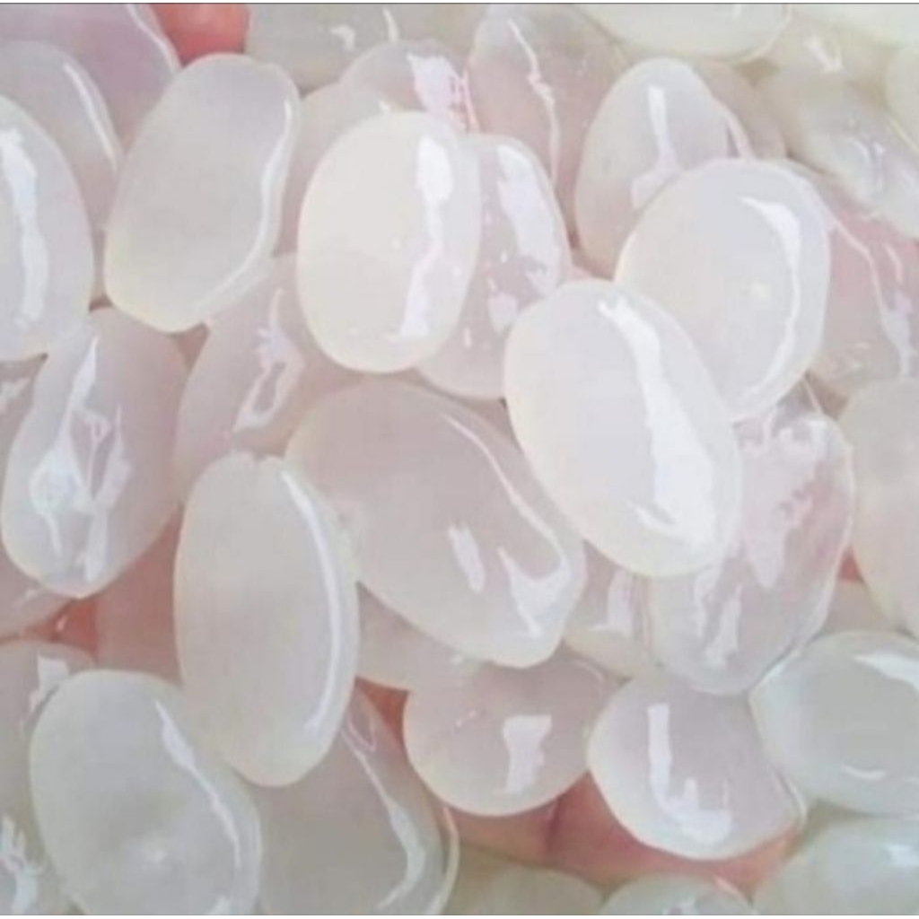 

Kolang kaling /cangkaleng 500 gram terlaris