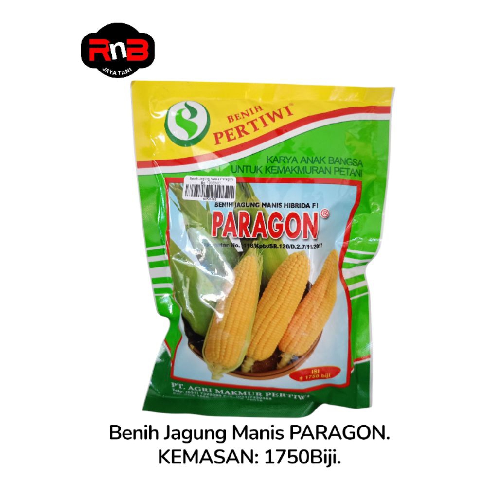 Benih Jagung Paragon