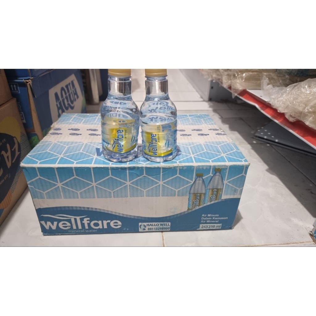 

wellfare air mineral 250ml 1 dus/karton isi 24 botol