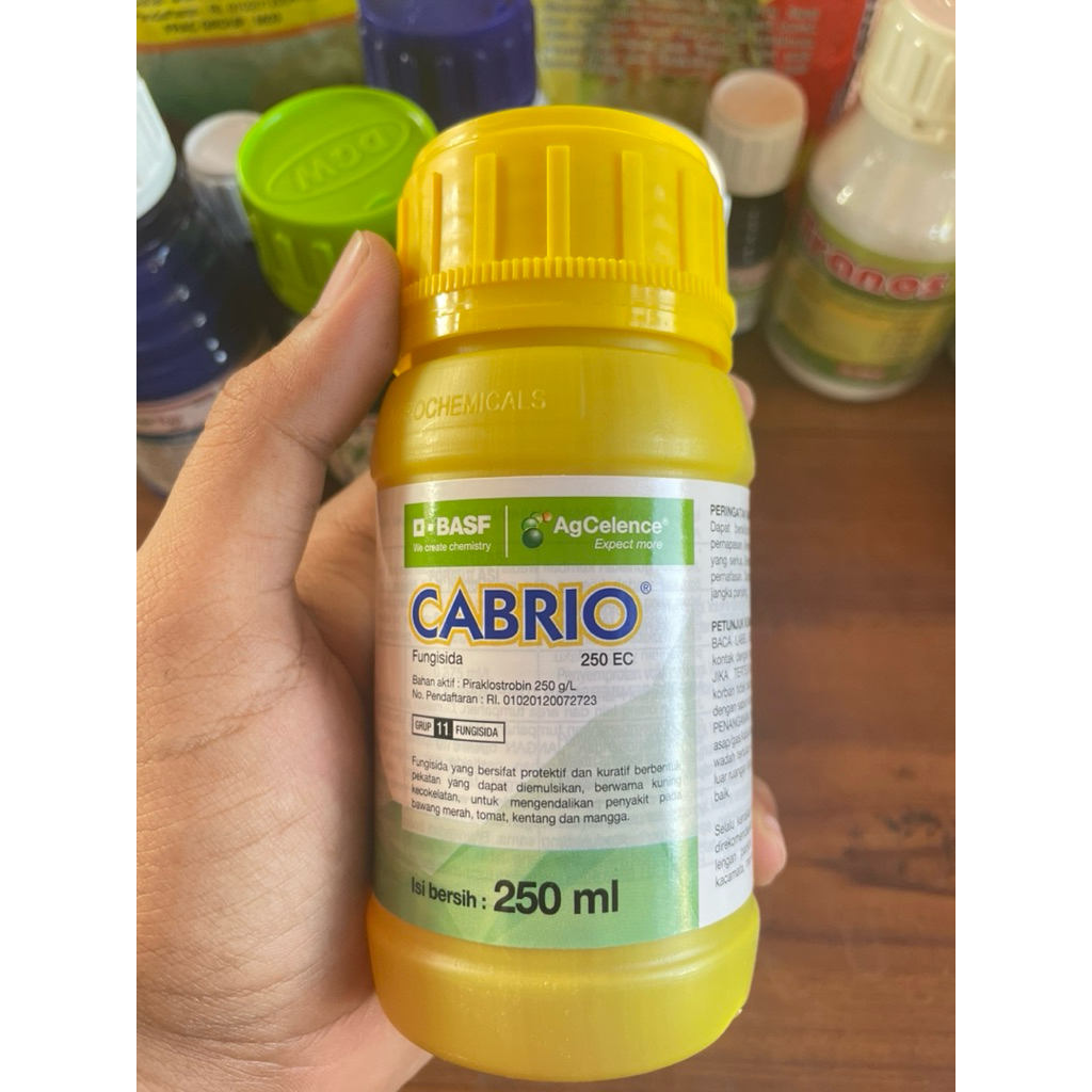 Fungisida Cabrio 250 EC 250 ML