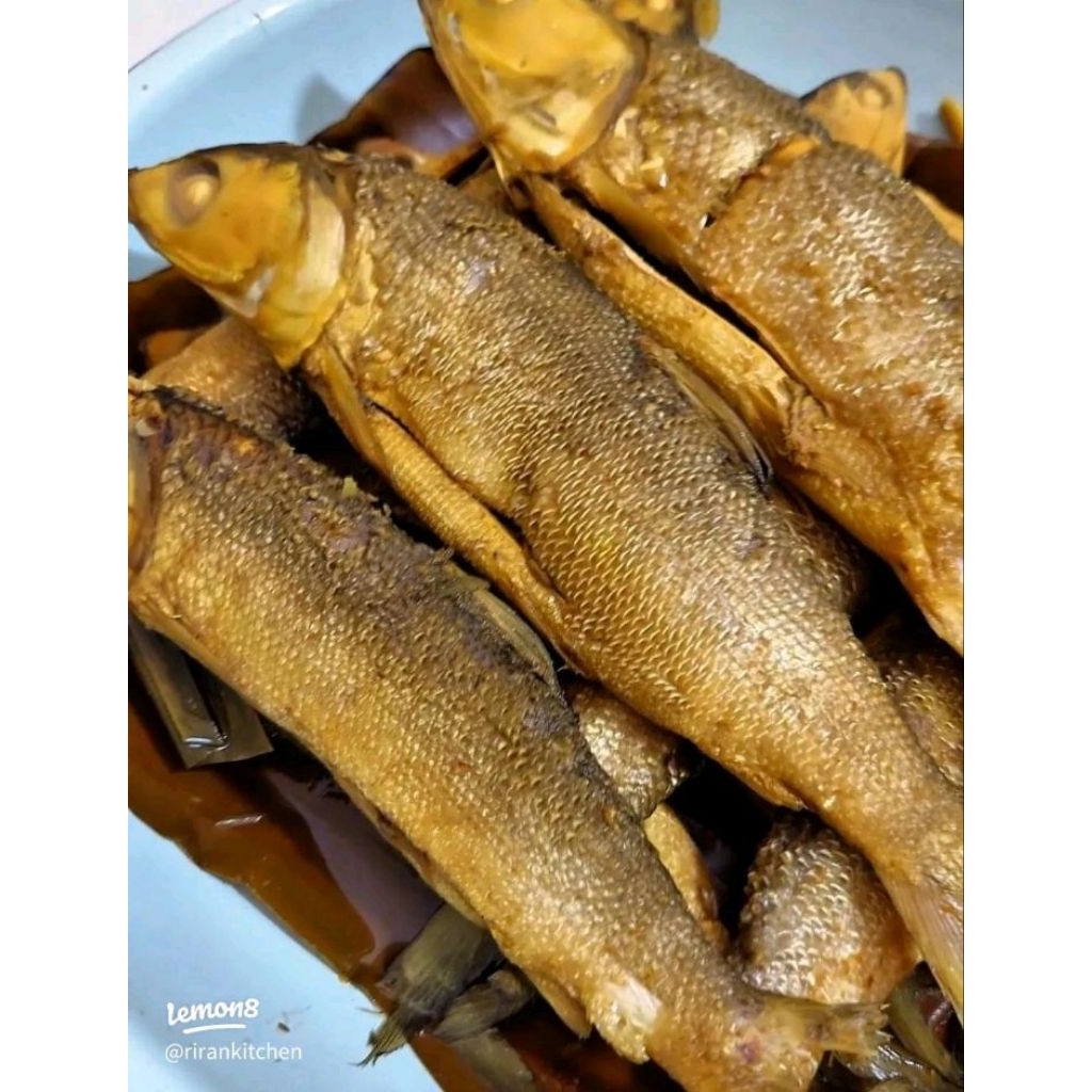 

bandeng goreng Wonogiri.Isi 3
