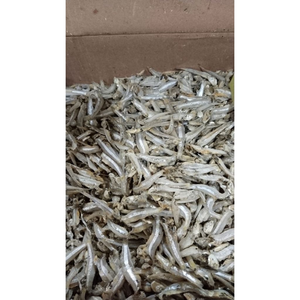 

Grosir ikan asin, teri jengki, ikan asin murah, ikan asin jengki, berat 100gram