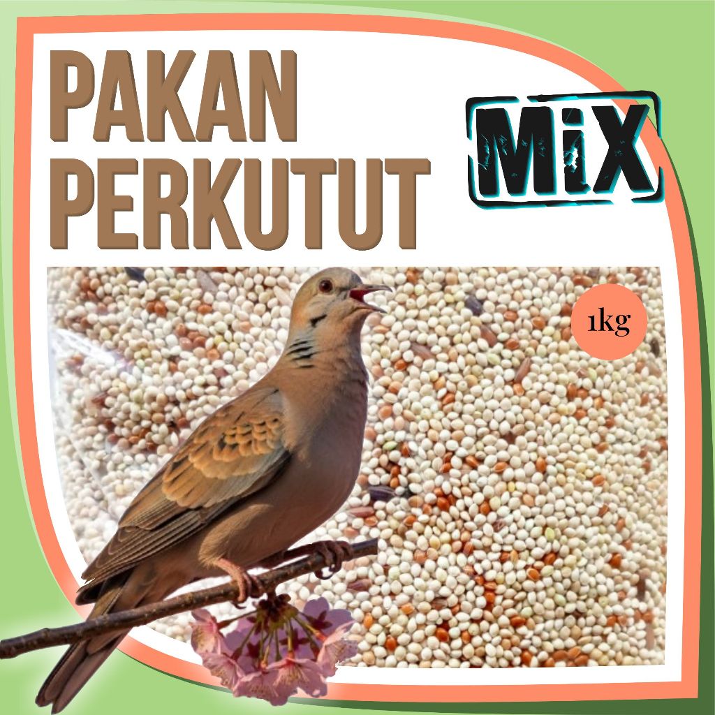 Pakan Burung Perkutut 1Kg Supaya Gacor Kiloan Beras Merah Jewawut Milet Hitam Kuning Merah Putih