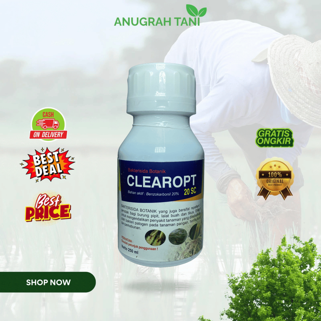 Clearopt 20sc 250ml Bakterisida Botanik Organik pengendali Penyakit Layu dan penolak Hama Lalat Buah