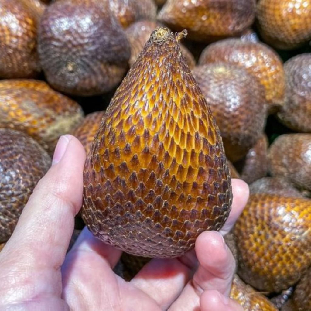 

salak pondoh