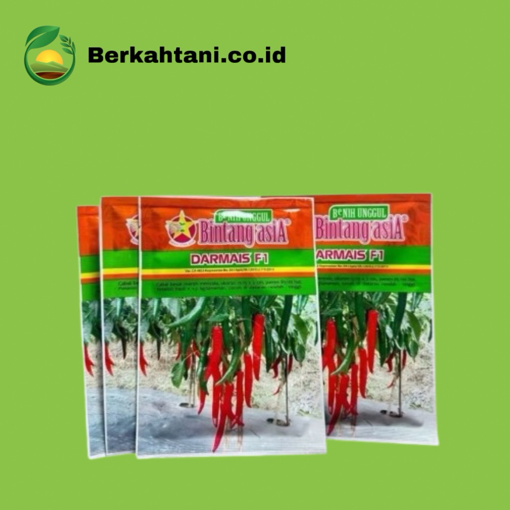 BIBIT BENIH CABE BESAR TAHAN VIRUS DARMAIS F1 ISI 10 GRAM BINTANG ASIA