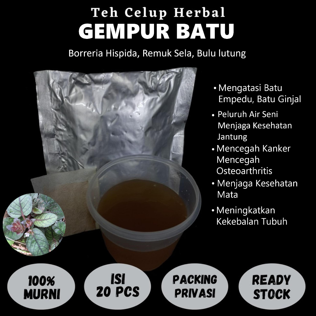 

Teh Celup Herbal GEMPUR BATU Mengatasi Batu Empedu Batu Ginjal Peluruh Air Seni Kesehatan Jantung