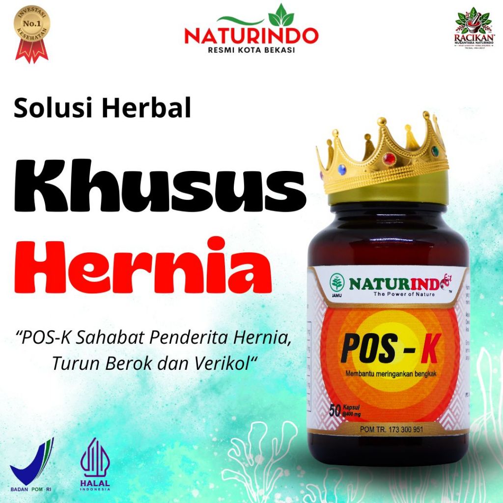 Obat Herbal Hernia Turun Berok Dewasa Obat Turun Berok Pria Herbal / Obat Hernia