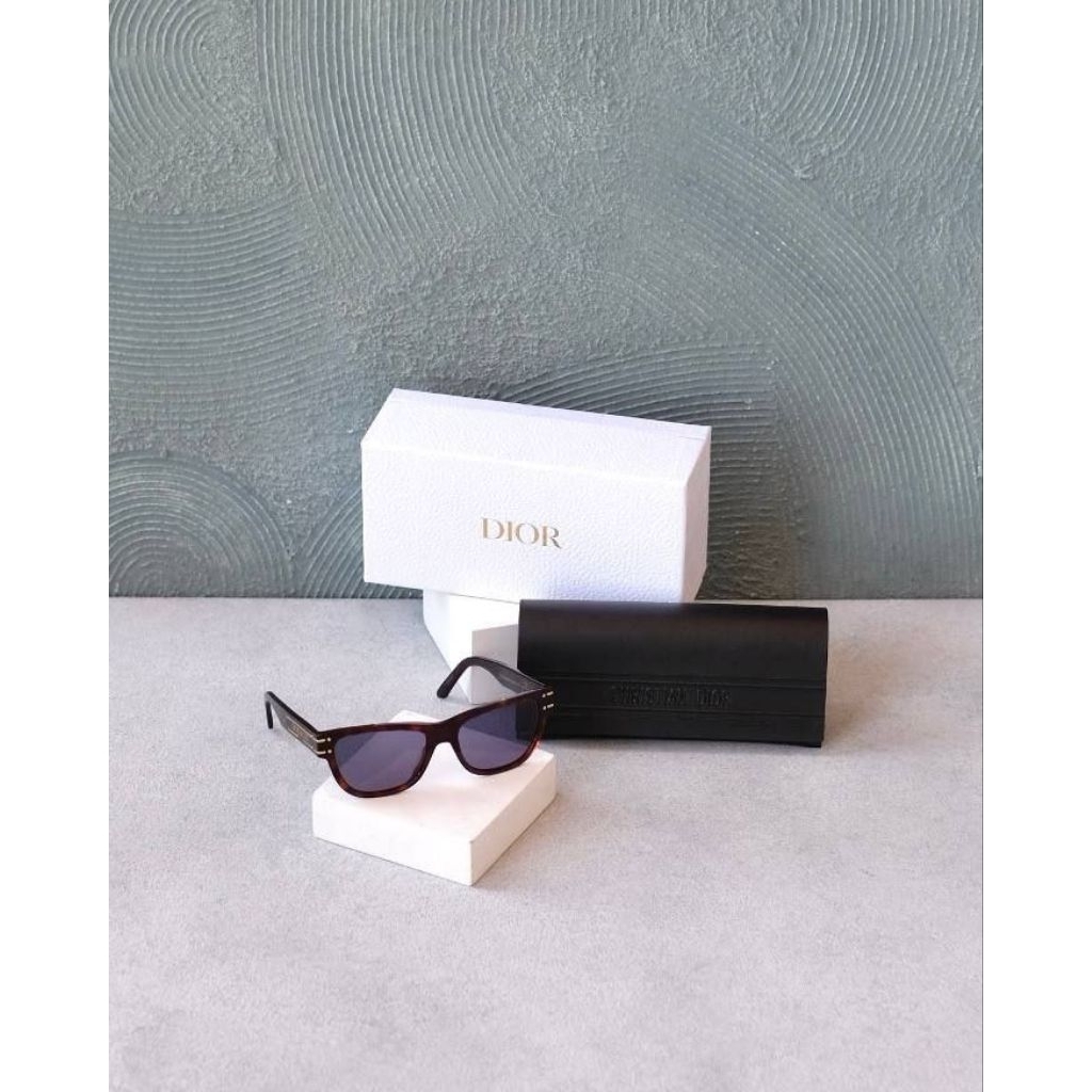 Dior Signature S6U Sunglasses in Tortoise