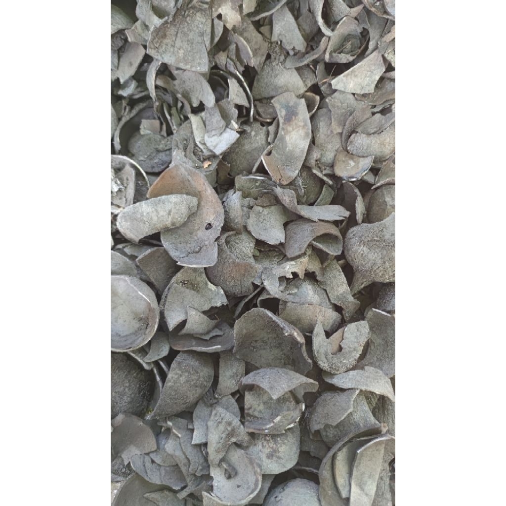 arang batok kelapa kering resto 10kg