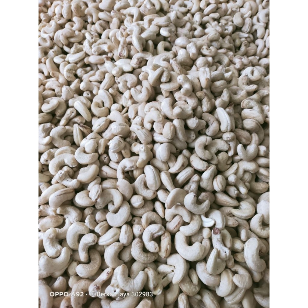 

Meteasliwonogirikwalitaspremium