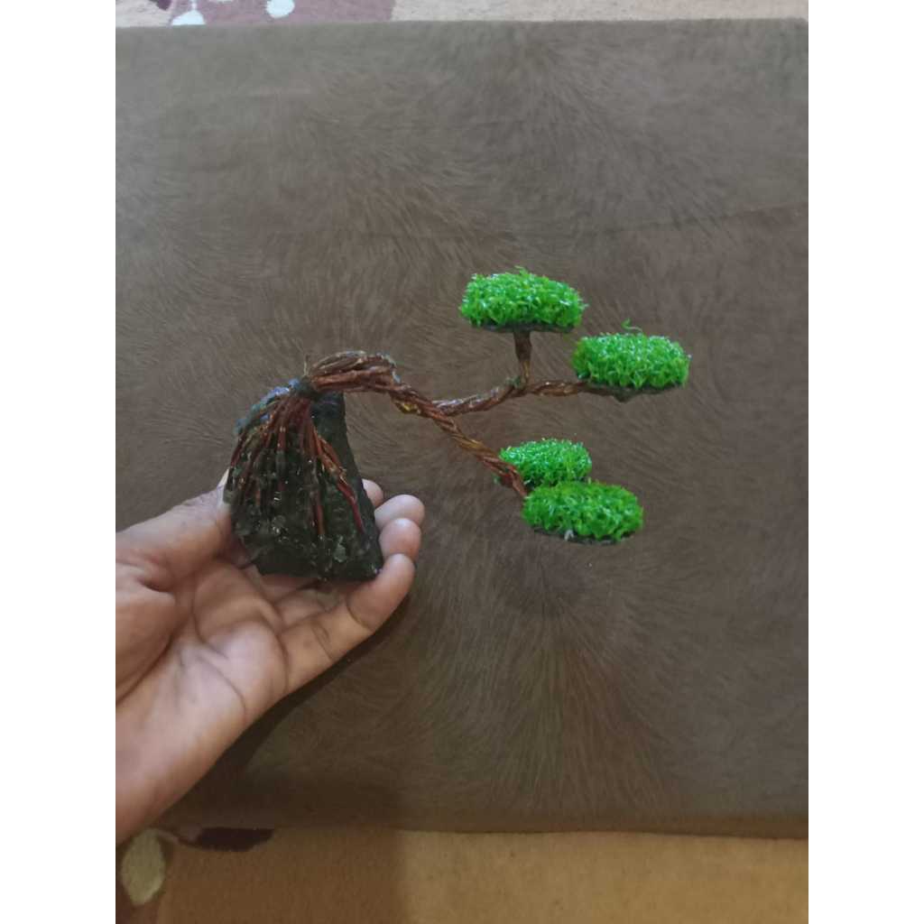 Pohon Aquascape | Pohon Aquarium | Pohon Bonsai | Bonsai Aquascape | Bonsai Aquarium