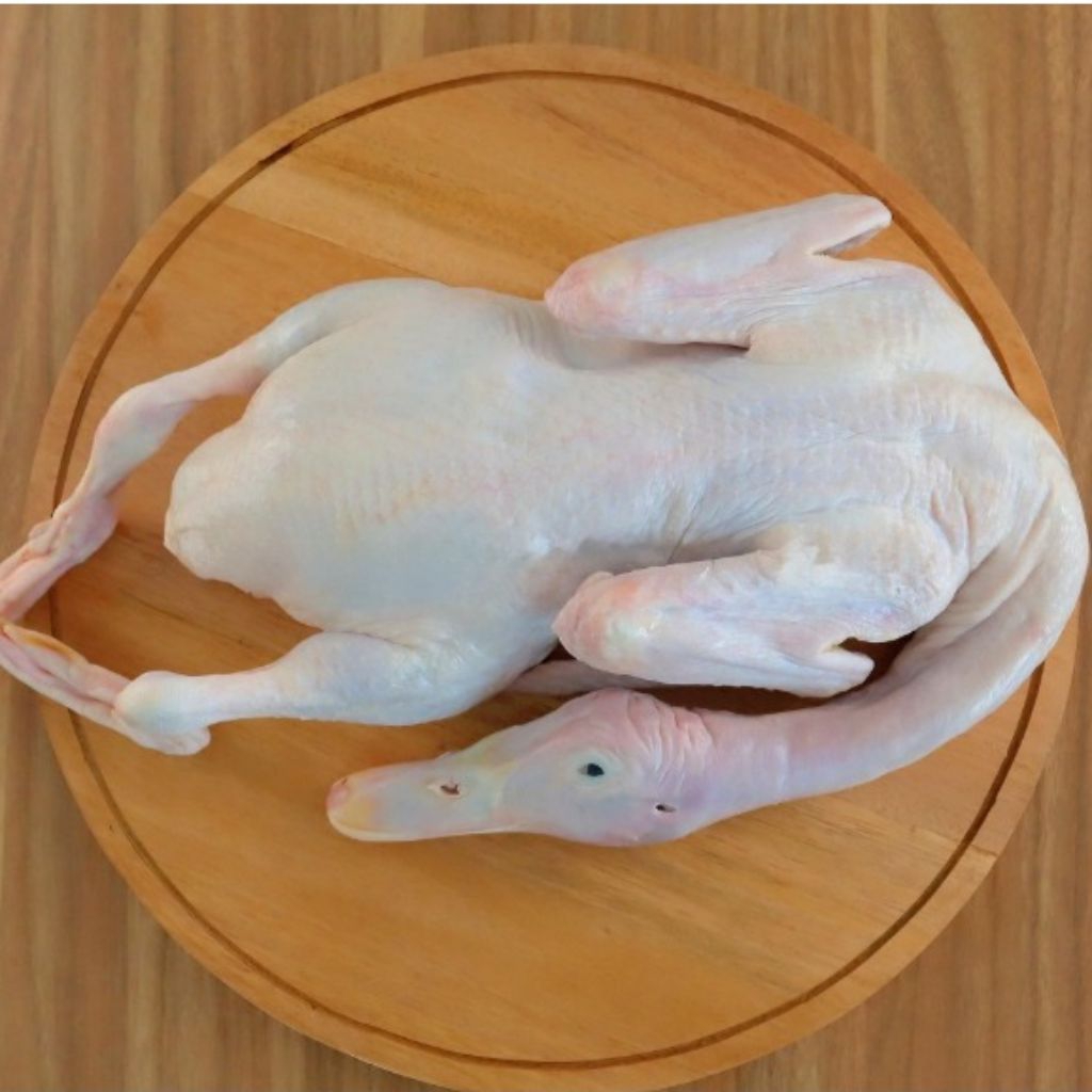 

bebek Peking ukuran 1,2 - 1.3 KG