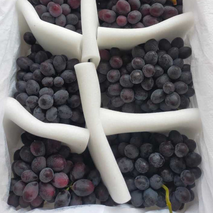 

ANGGUR HITAM TANPA BIJI / SEEDLESS BLACK GRAPES