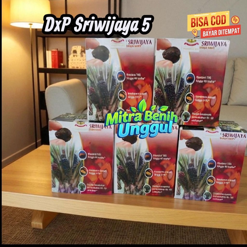 Benih Kecambah Sawit Sriwijaya 5 unggul