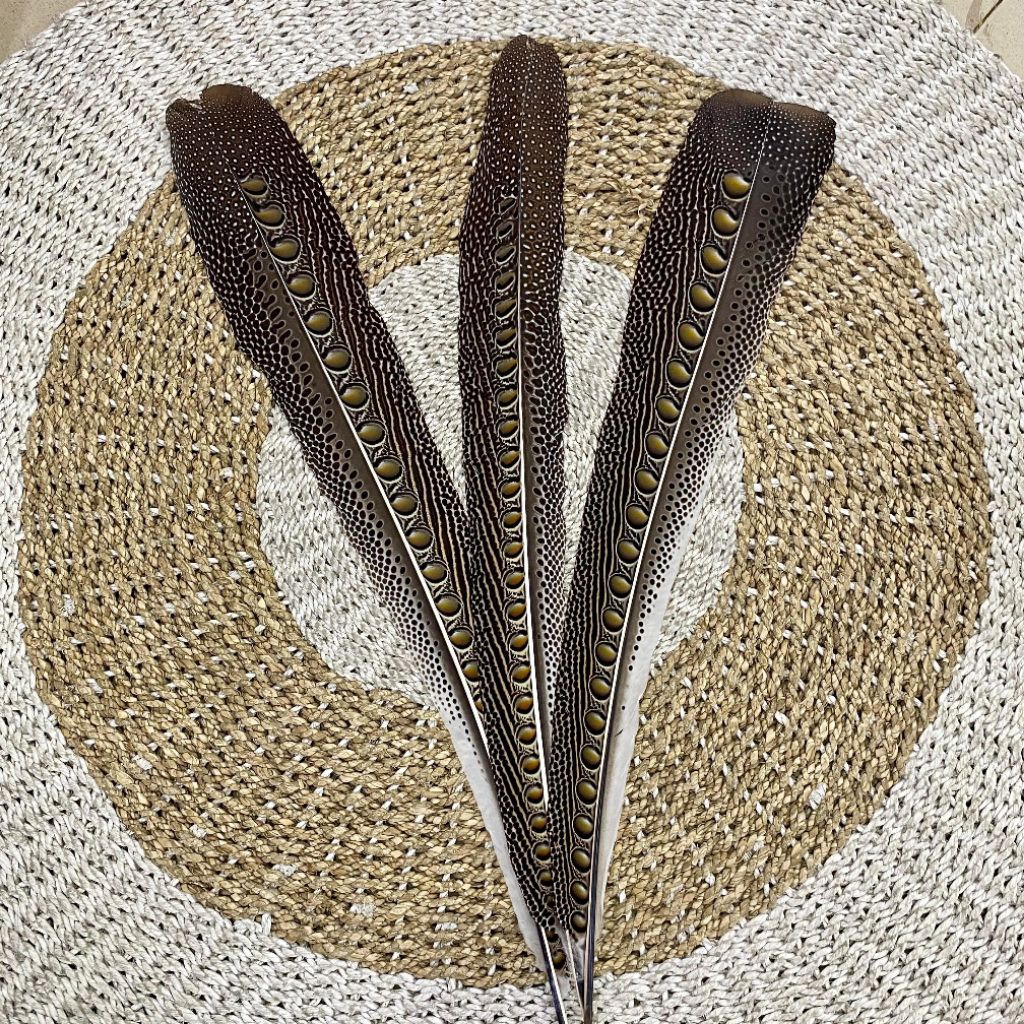 Bulu Ruai Khas Dayak Hiasan Topi Mahkota // BULU RUAI // Hiasan Topi Mahkota Dayak// Bulu enggang// 