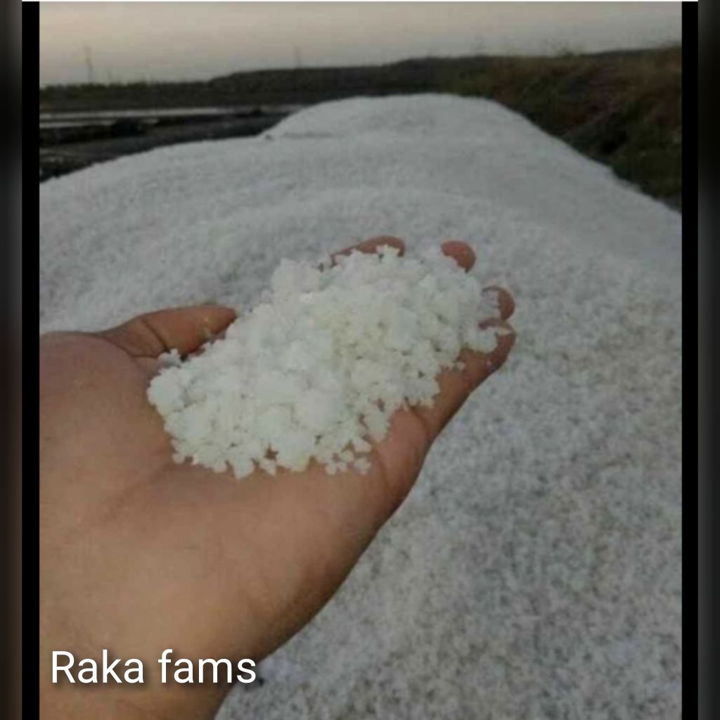 

GARAM GROSOK GARAM KROSOK UYAH GARAM KASAR