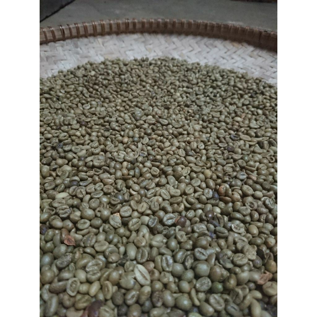 

Green Bean atau Biji Kopi Robusta 1Kg