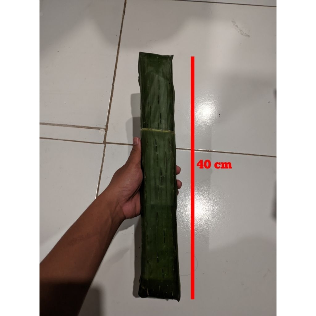 

Tempe daun segar satu lonjor besar