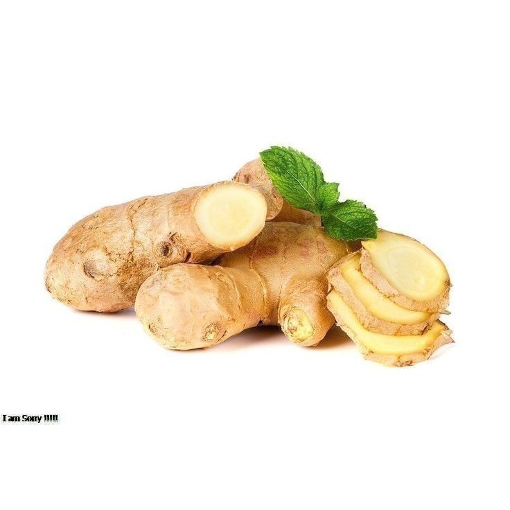 

Kunyit putih Curcuma zedoaria 1 kg