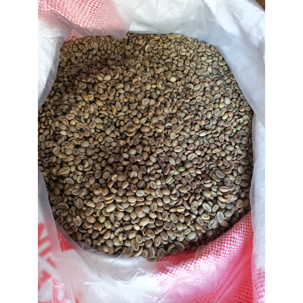 

Grosir Greenbean Kopi Robusta Temanggung Grade 3 Kemasan 5KG Biji Kopi Mentah