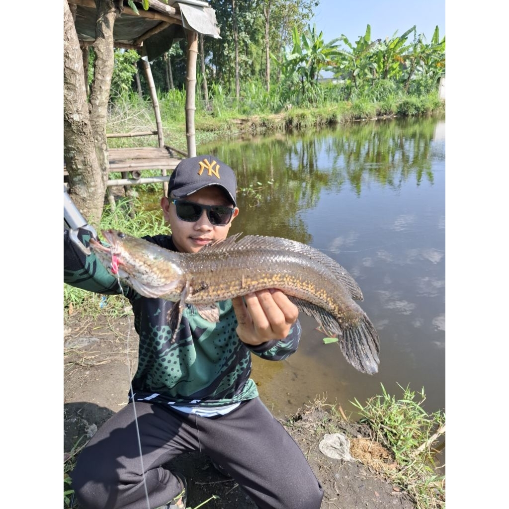 Umpan Sirip Hiu /Hs Vibra lure 8 gram