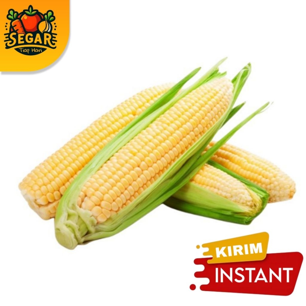 

JAGUNG / JAGUNG MANIS PER PCS