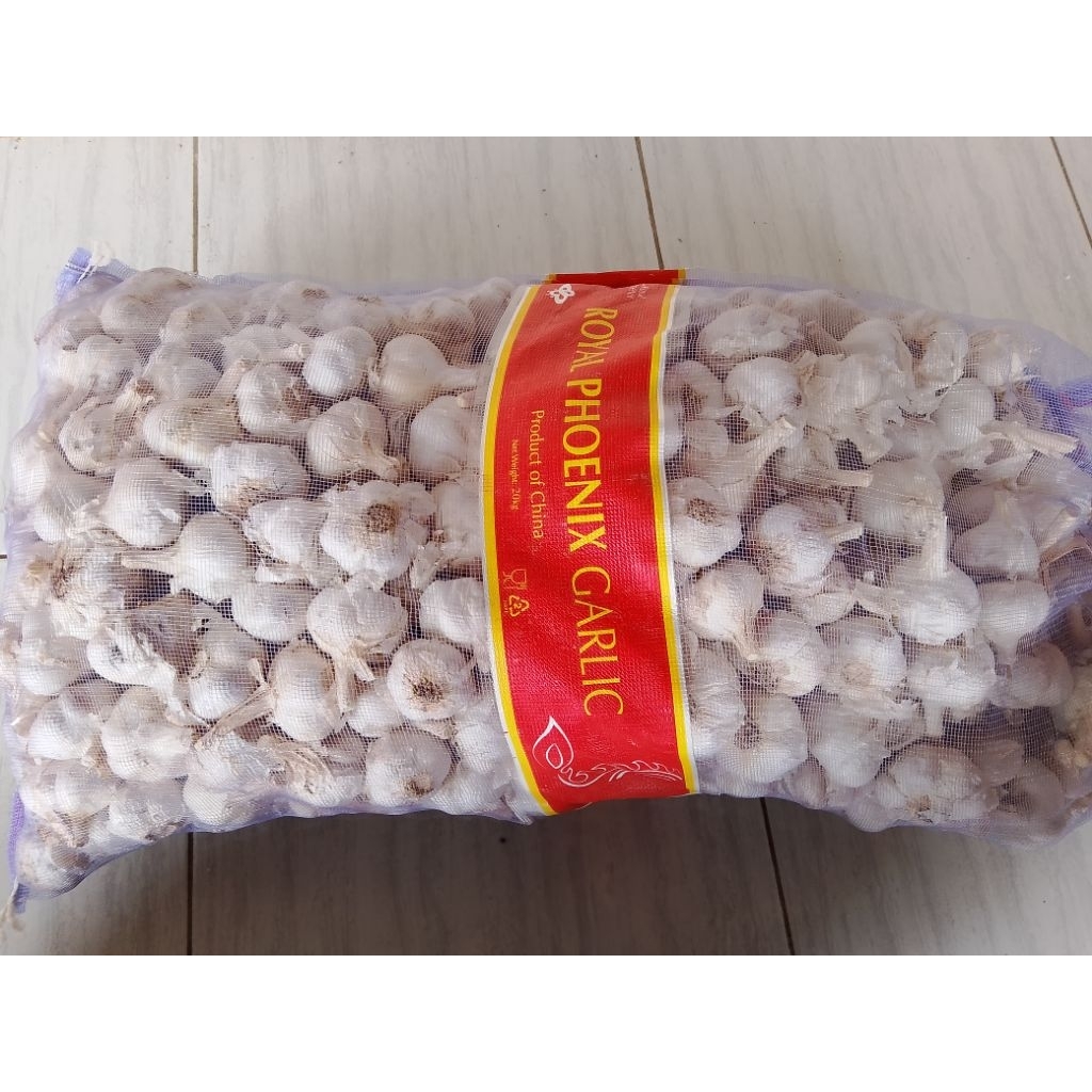 

Bawang putih Kating Royal Phoenix per bal ( Kotor )