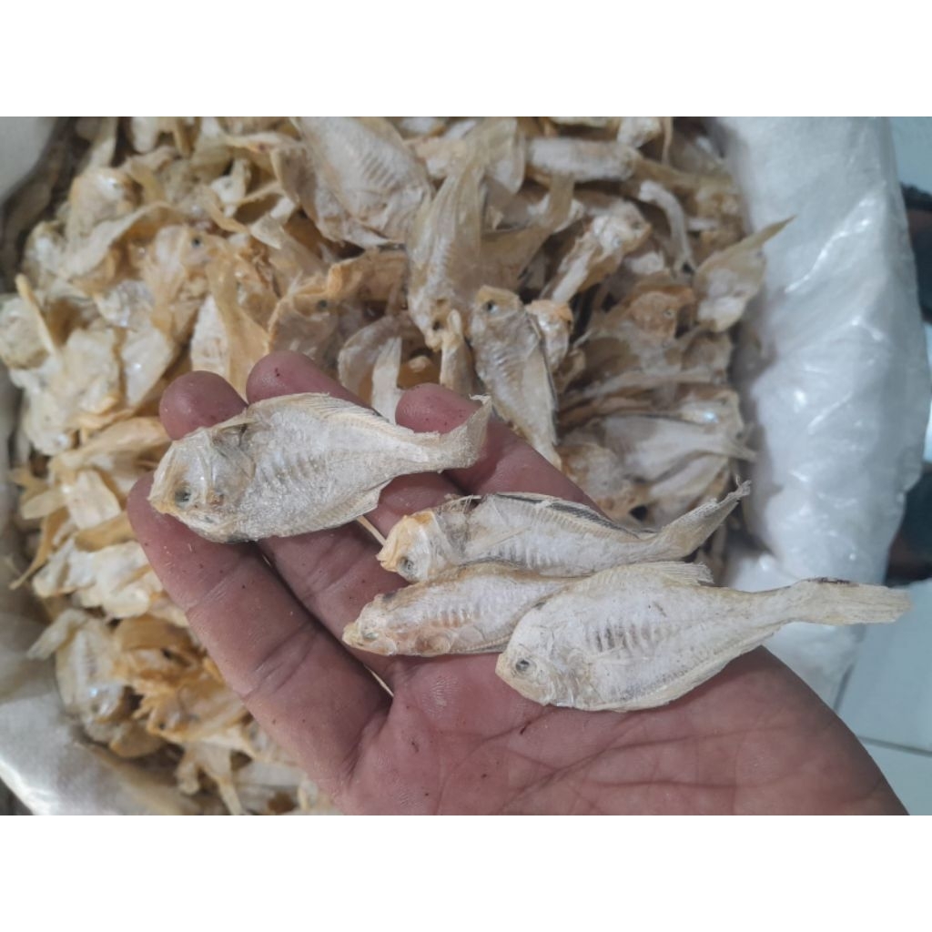 

Ikan Asin Bawang-Bawang – Kecil, Gurih, Renyah,