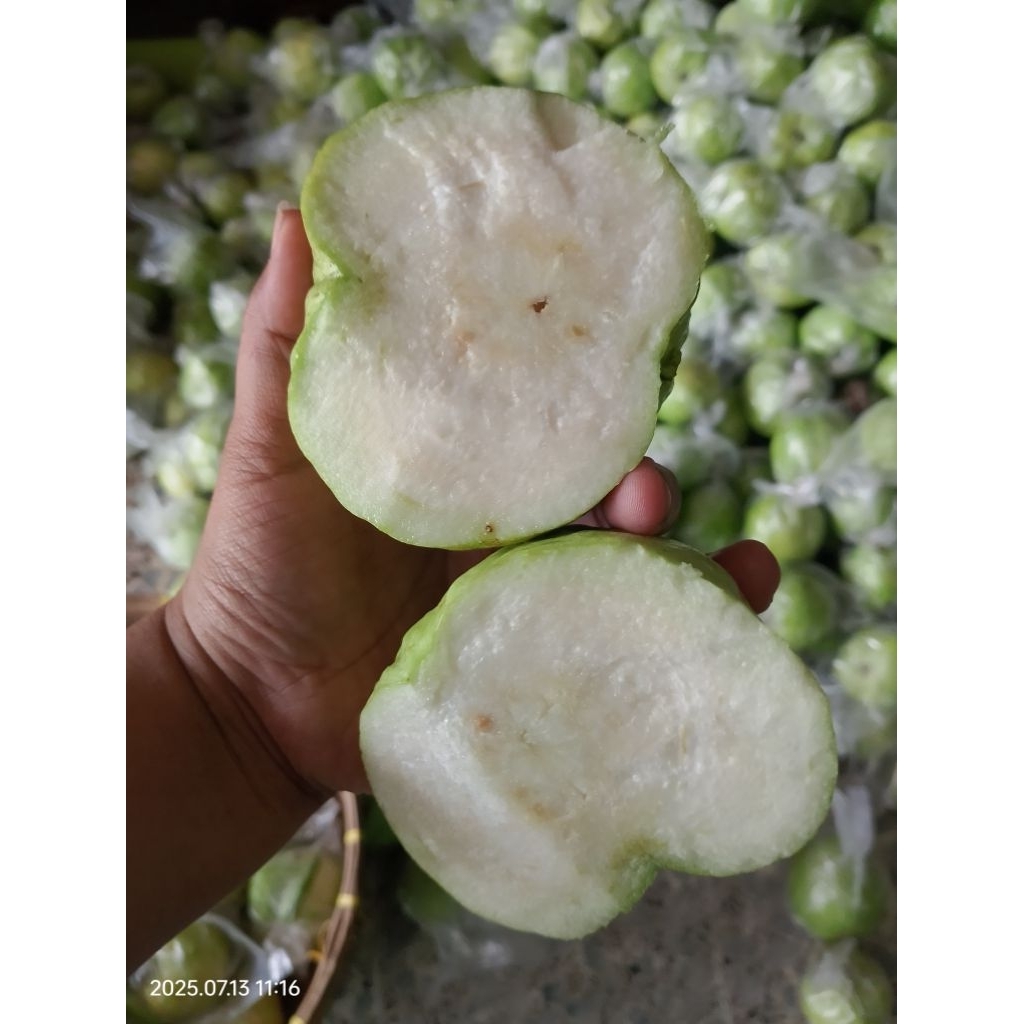 

Jambu kristal Super 1 KG