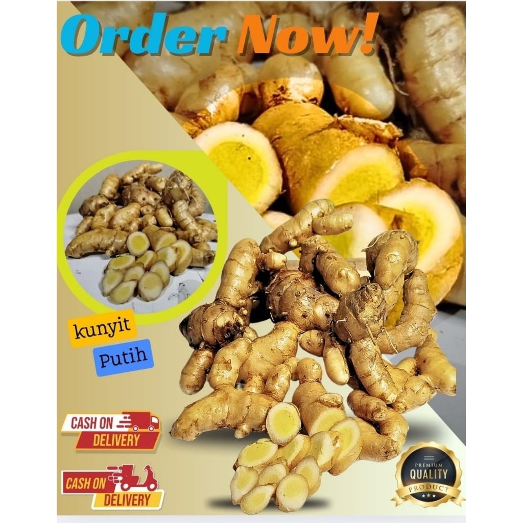 

kunyit putih 1 Kg Organik obat herbal alami