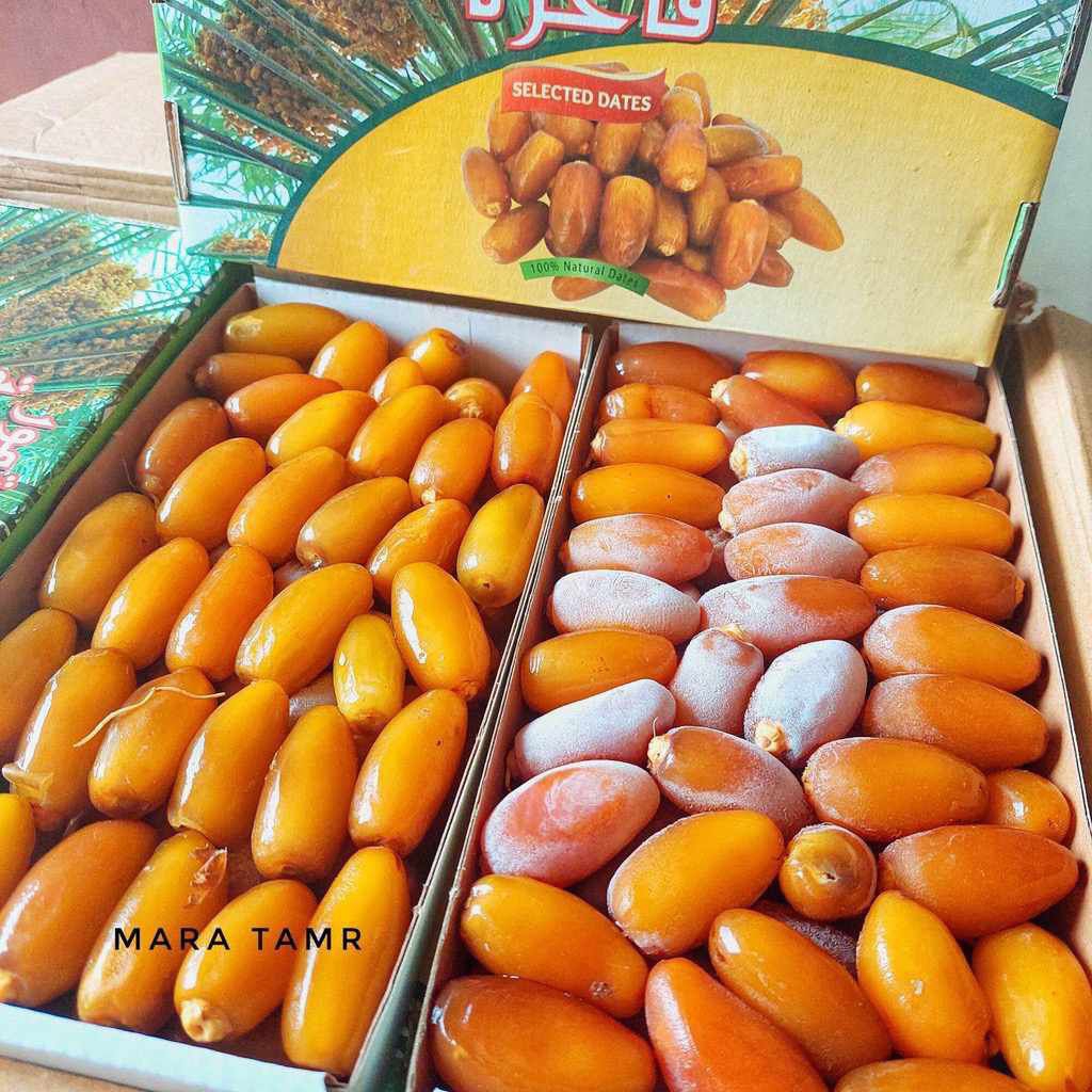 

Kurma Muda Ruthob Selected Dates 1kg