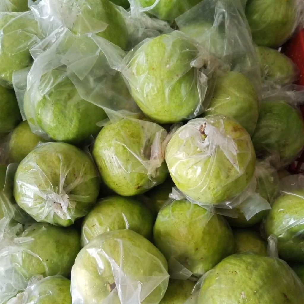 

Jambu Kristal 2 KG Random Barang di petik pas ada pesanan