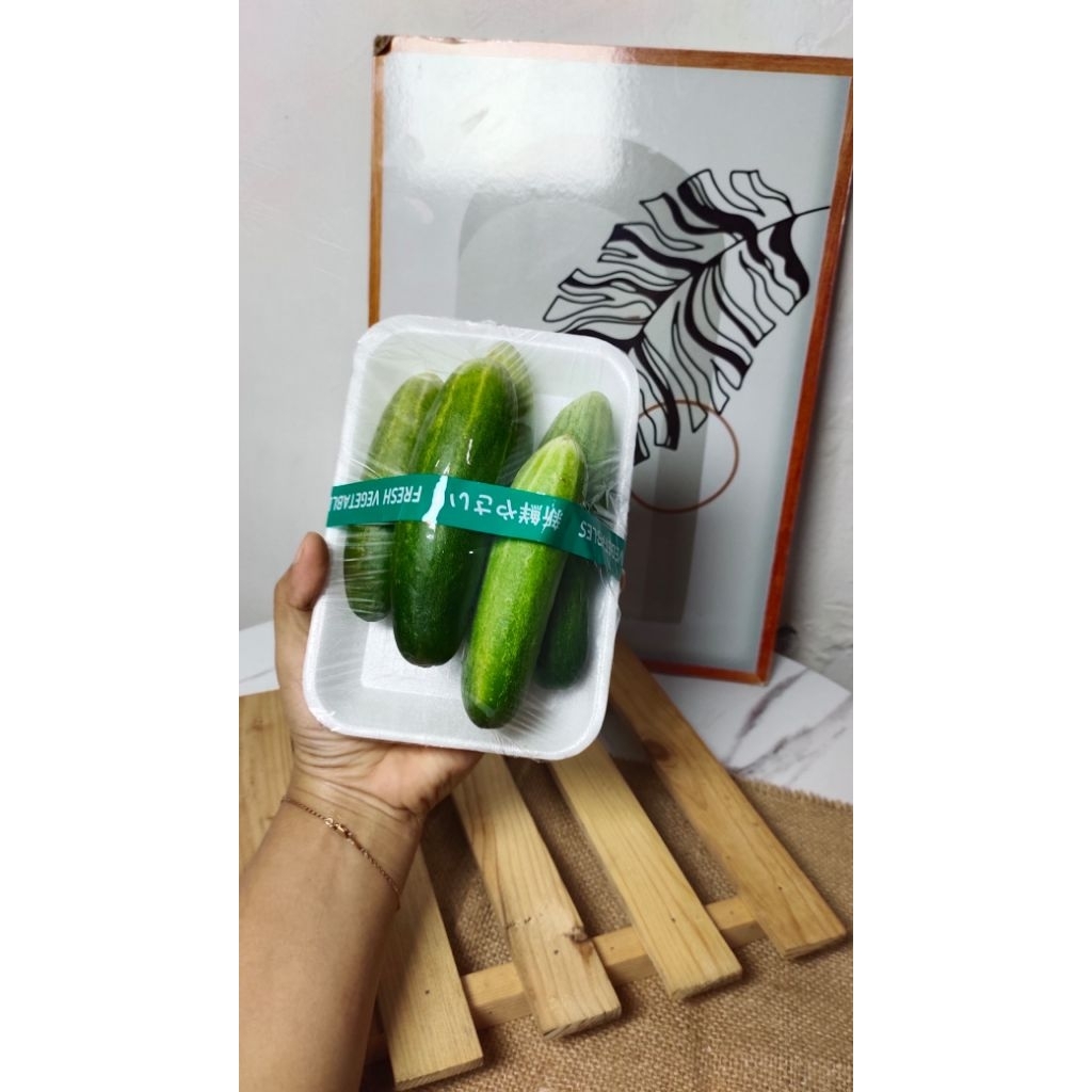 

TIMUN SEGAR