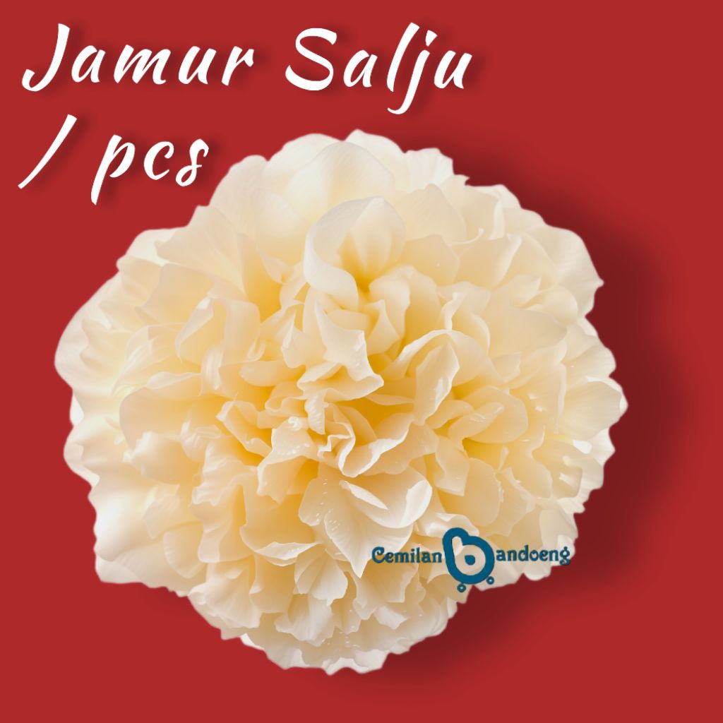 

JAMUR SALJU | JAMUR ES | TOPING SEBLAK PER BONGGOL