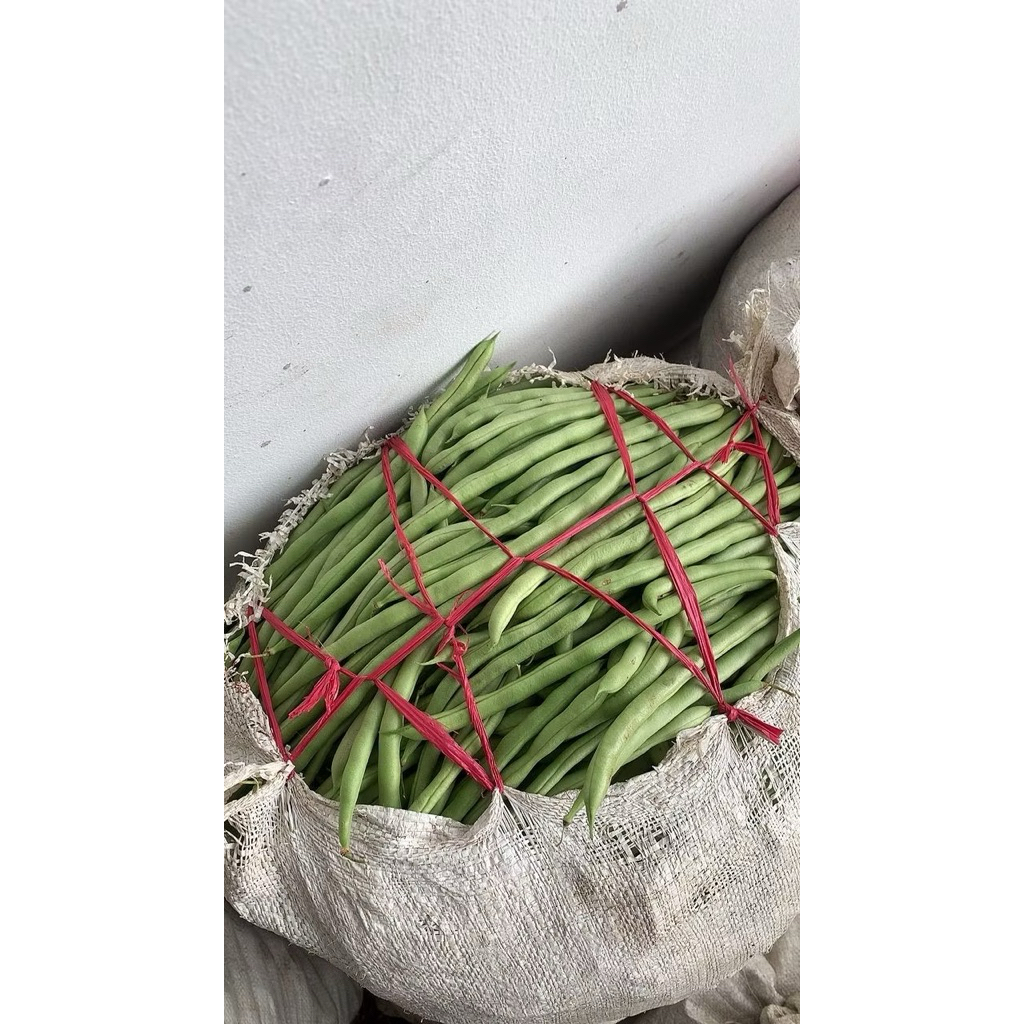 

Buncis lokal bersih 500gram fresh petik dadakan