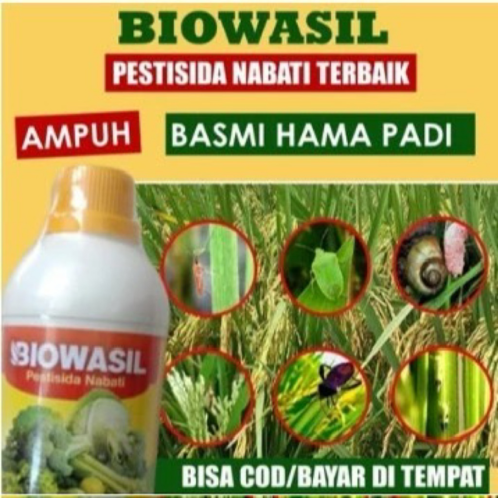 OBAT HAMA ULAT PADI SUNDEP BELUK 500 ML BIOWASIL - Obat Hama Padi, Atasi Hama Ulat Sundep, Wereng,