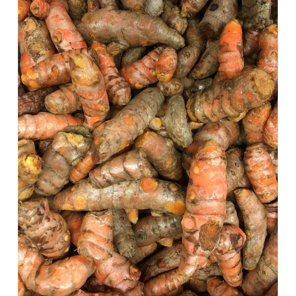 

kunyit 100 g bumbu rempah segar jogja