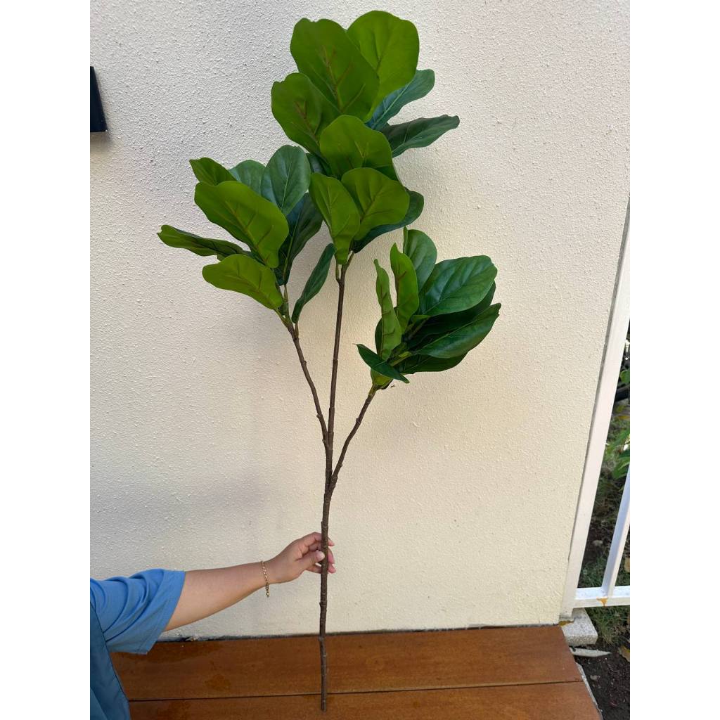 Pohon Ketapang Artificial - Dekorasi Pohon Hias Latex - Artificial Tree Decoration