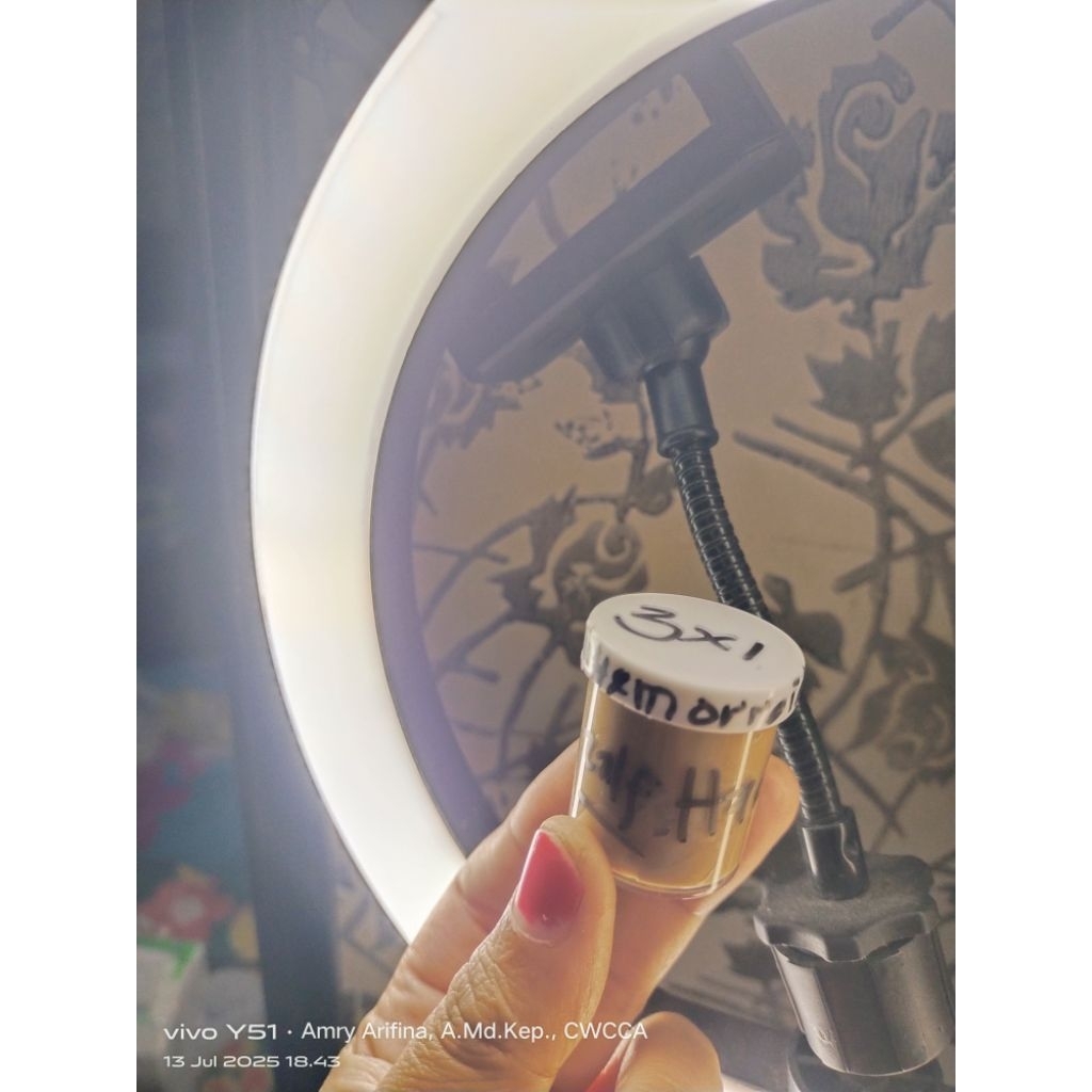 salep ambeien / wasir / hemorhoid ampuh original