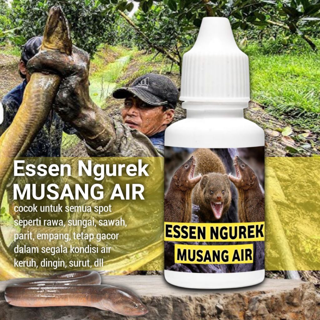 Essen untuk mancing belut babon rawa