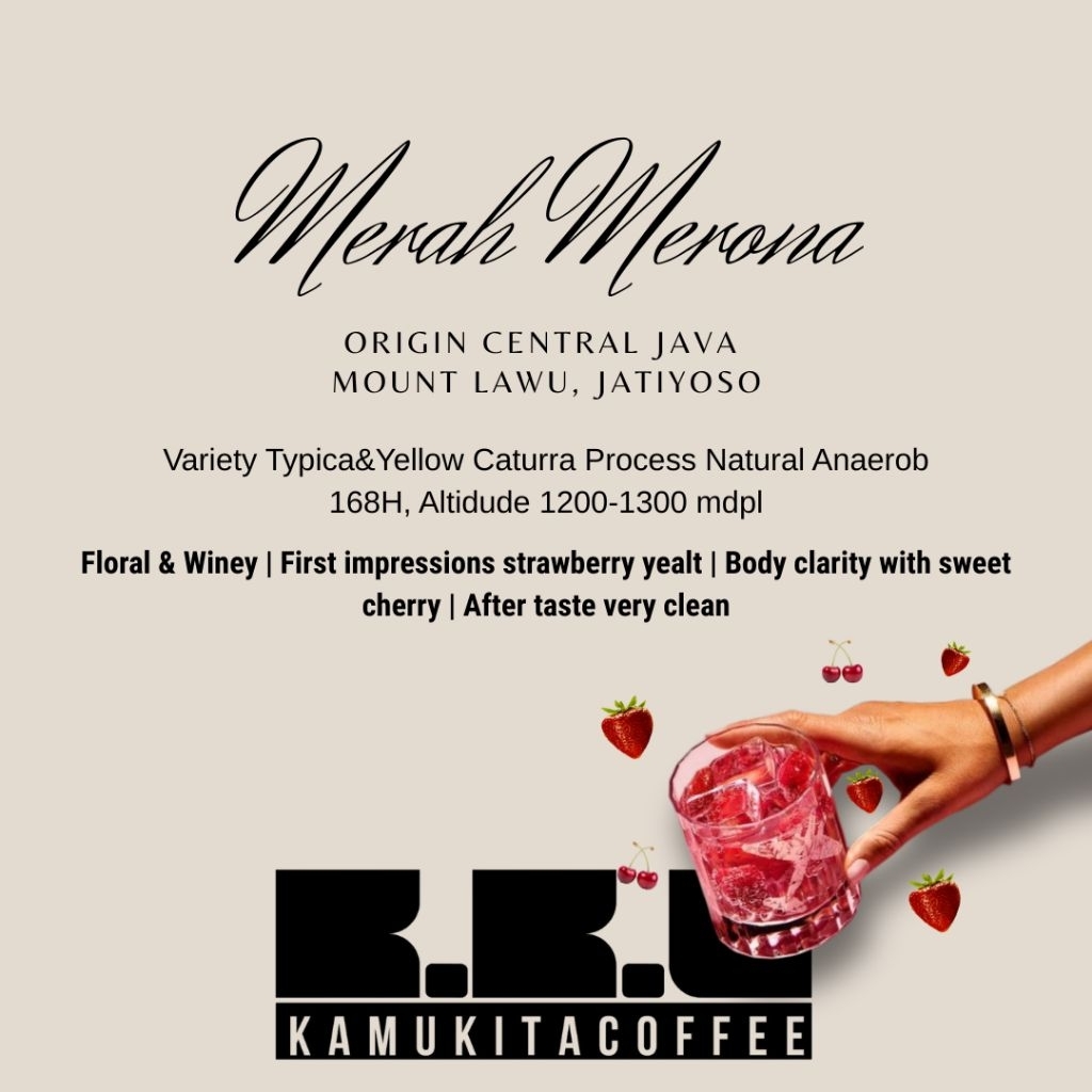 

Filter Coffee Arabica coffee Merona Origin jatiyoso Natural anaerob 168H