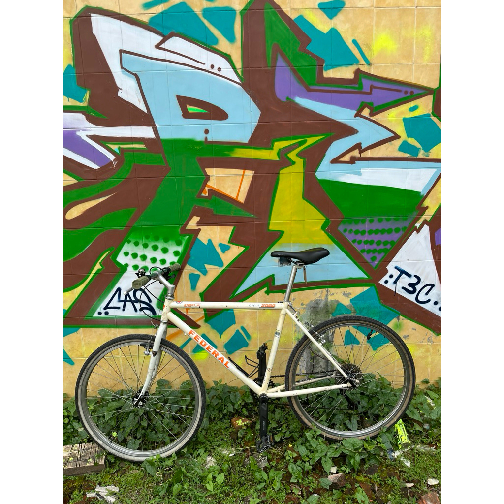 sepeda federal street cat