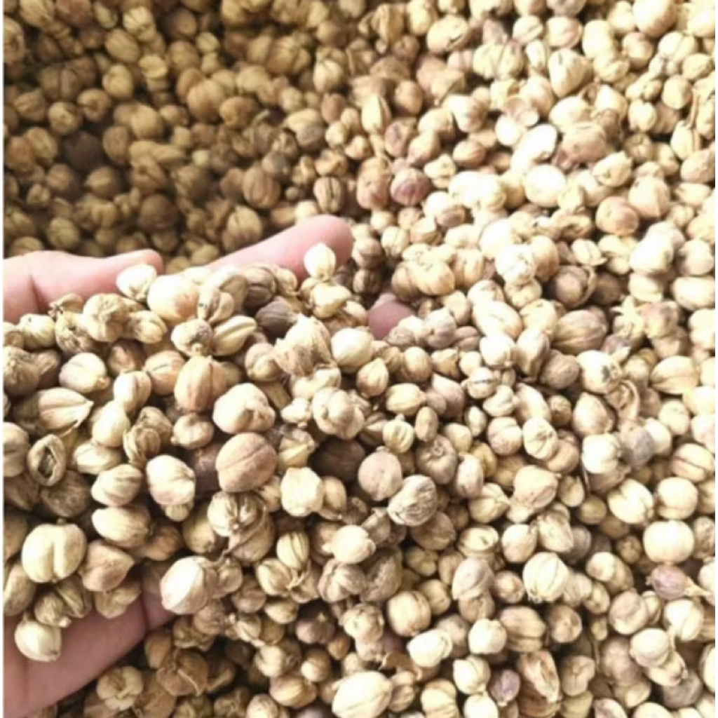 

kapulaga/kapolaga/cardamon jawa (lokal) 1 KG bersih kering sudah di sortir