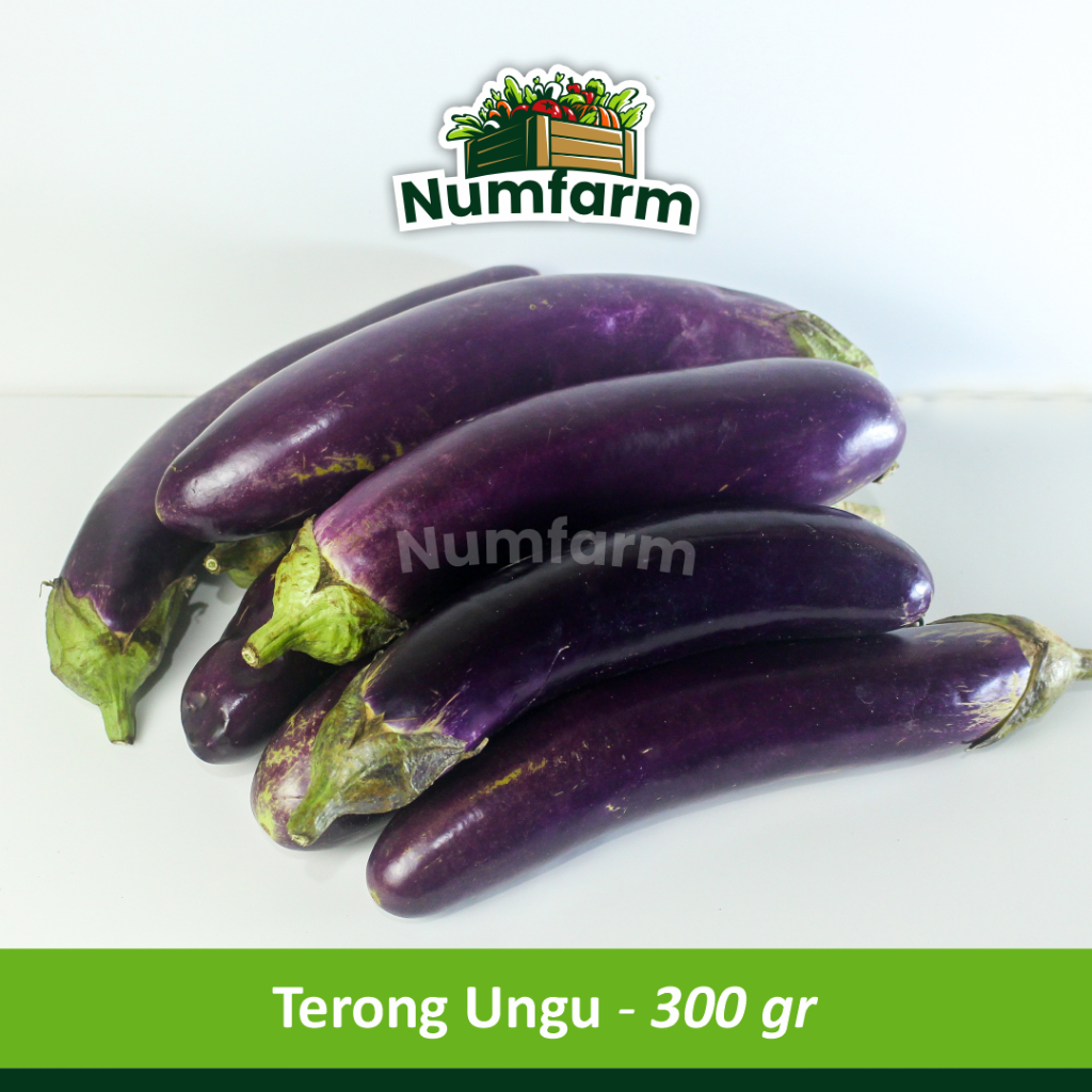 

Numfarm | Terong Ungu (per 300 gr)